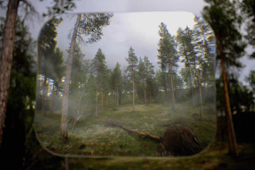 monitori metsässä | © Monika Rechsteiner